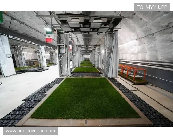2026世界杯草坪标准规则有哪些